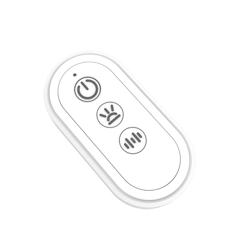 Long Distance Remote Controlled USB Charging Anal Plug
